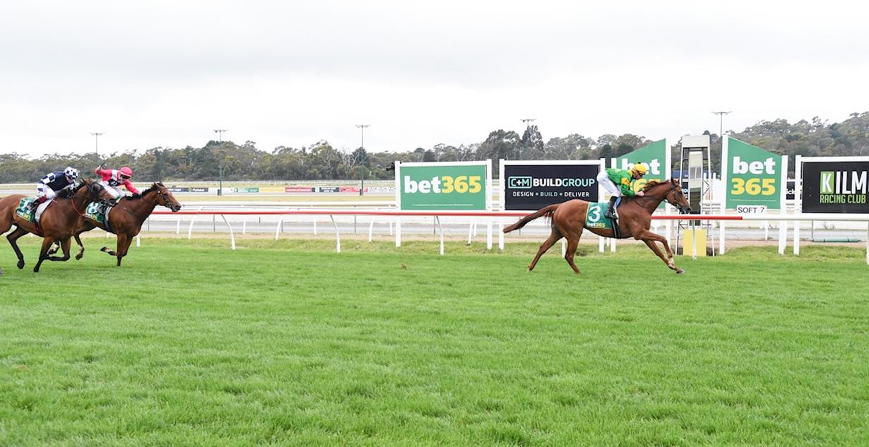 Regal Zeus - Kilmore 23rd November 2025 (Listed Kilmore Cup)